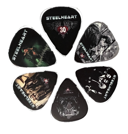 Guitar Pick Set - 30th Anniversary Special Collection